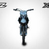 Купить Мотоцикл BRZ X5M (172FMM-PR)