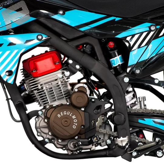 Купить мотоцикл RegulMoto ZR PR 300 с бесплатной доставкой без переплат + ПТС и рассрочка